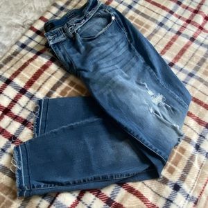 Judy Blue Distressed Skinny Jeans